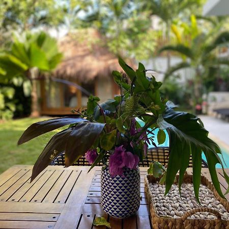 Luxury Private Villas , Private Pool, Private Garden, Jacuzzi, 24Hours Security 图卢姆 外观 照片