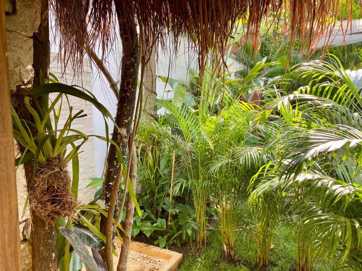 Luxury Private Villas , Private Pool, Private Garden, Jacuzzi, 24Hours Security 图卢姆 外观 照片