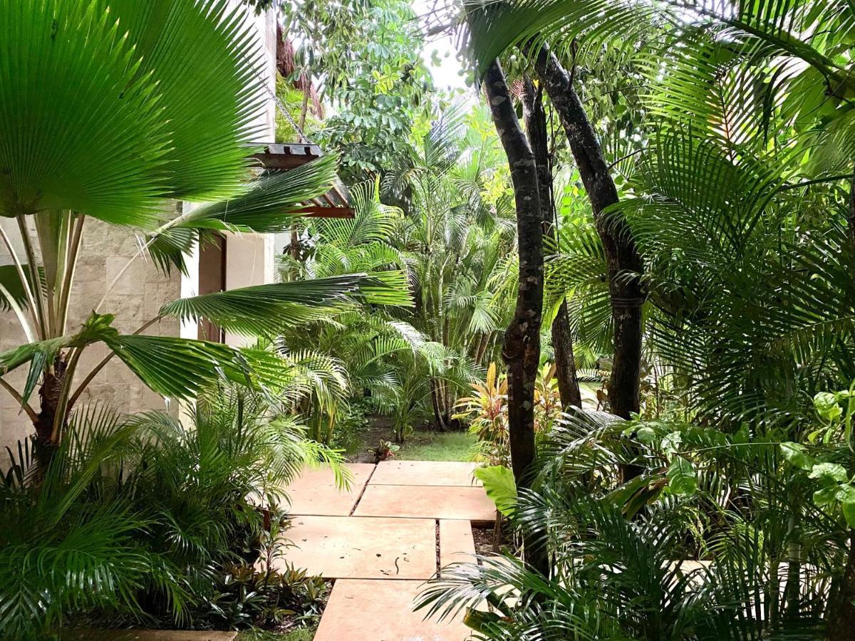 Luxury Private Villas , Private Pool, Private Garden, Jacuzzi, 24Hours Security 图卢姆 外观 照片