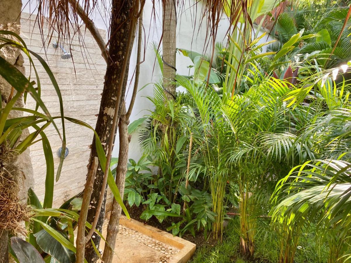 Luxury Private Villas , Private Pool, Private Garden, Jacuzzi, 24Hours Security 图卢姆 外观 照片